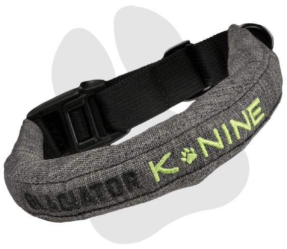 Gladiator K-Nine Collar